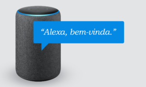 Amazon deseja implantar skills na Alexa que sejam inclusivas a PcDs.